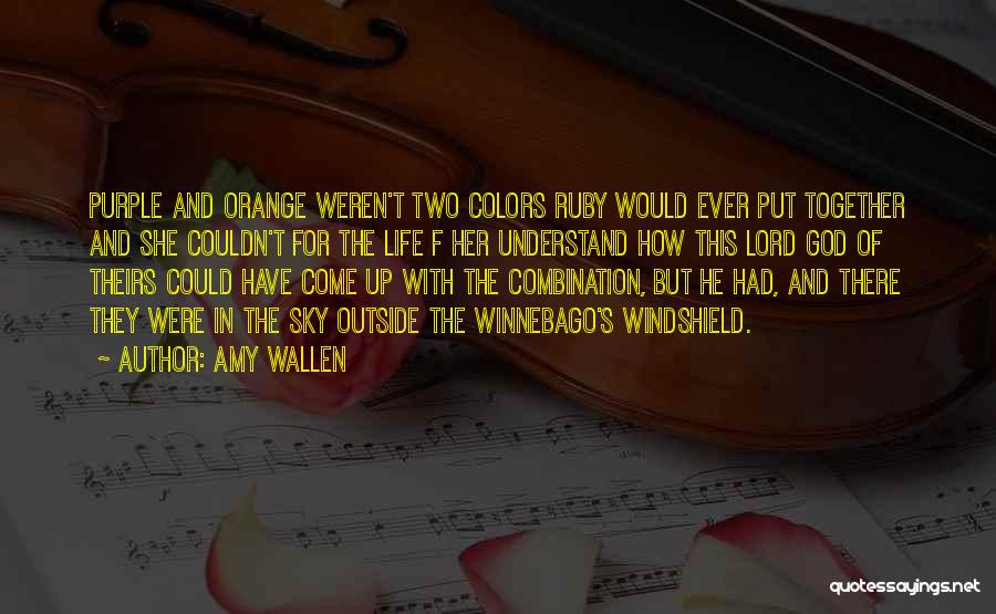 Colors In The Sky Quotes By Amy Wallen