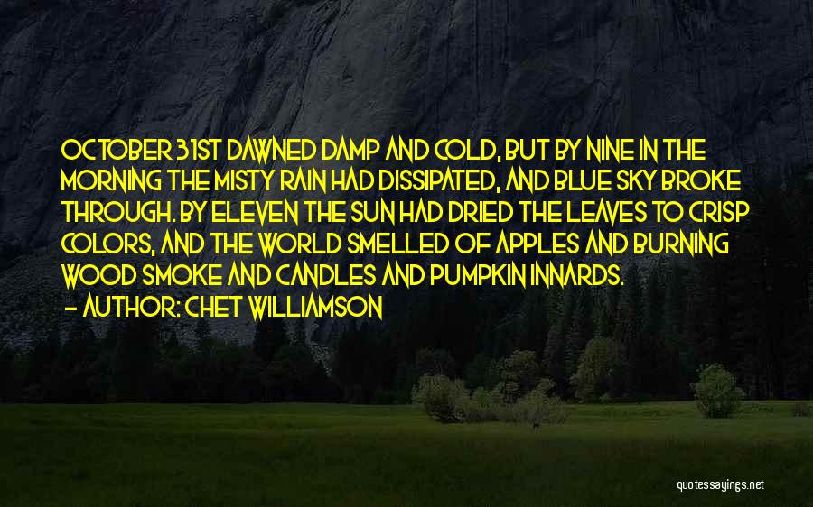 Colors In The Sky Quotes By Chet Williamson