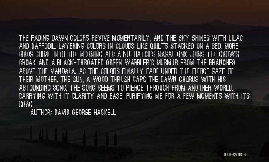 Colors In The Sky Quotes By David George Haskell