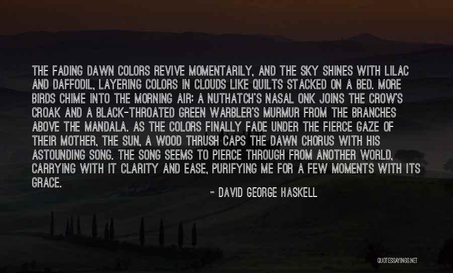 Colors In The Sky Quotes By David George Haskell