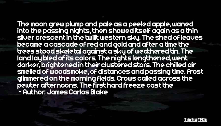 Colors In The Sky Quotes By James Carlos Blake