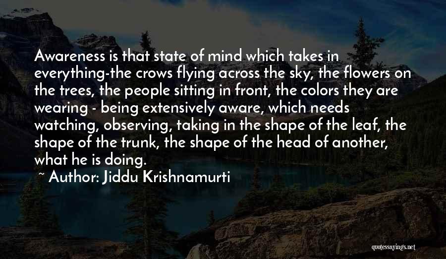 Colors In The Sky Quotes By Jiddu Krishnamurti