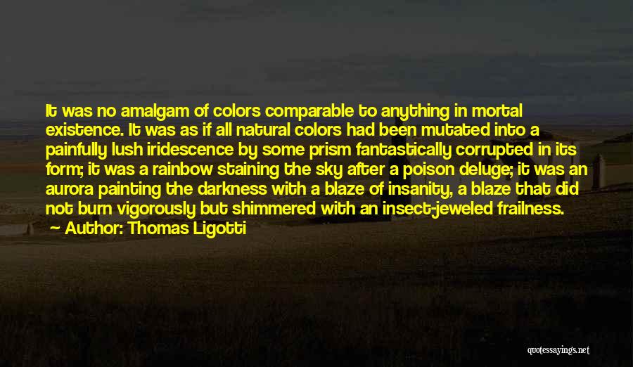 Colors In The Sky Quotes By Thomas Ligotti