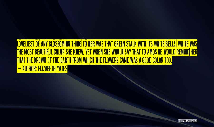 Colors Of Flowers Quotes By Elizabeth Yates