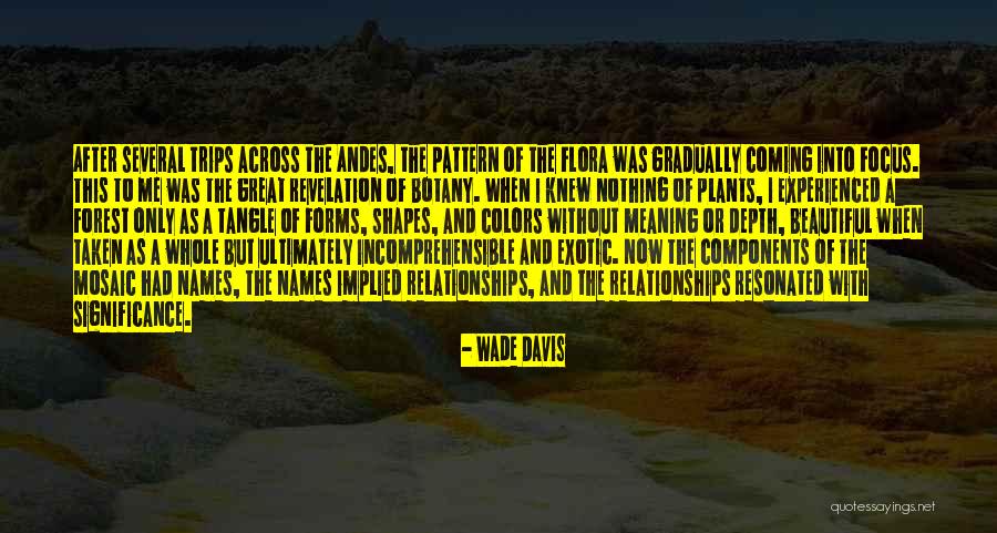 Colors The Great Quotes By Wade Davis Colors The Great Quotes By Wade Davis