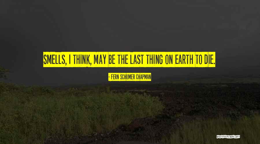 Colosseo Pizzeria Quotes By Fern Schumer Chapman Colosseo Pizzeria Quotes By Fern Schumer Chapman