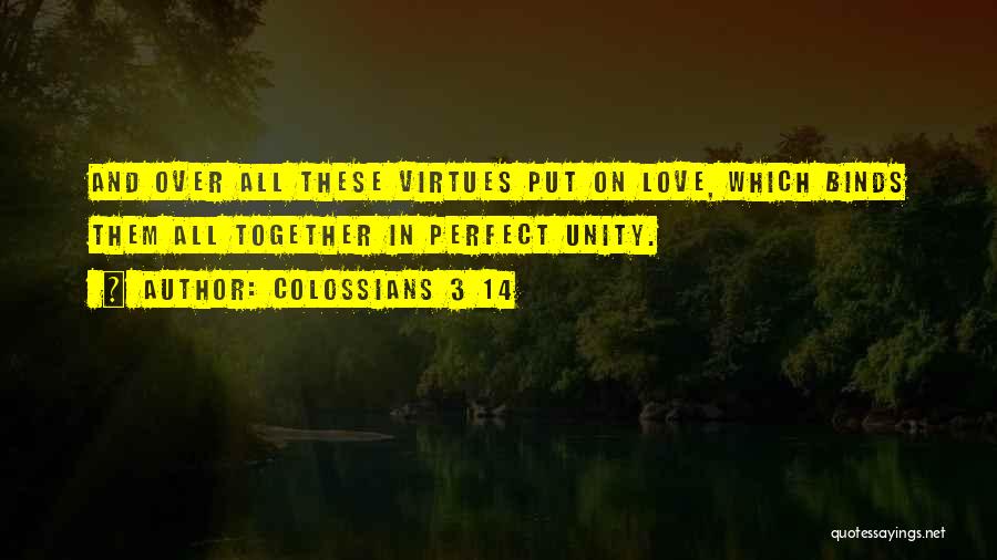 Colossians 3 14 Quotes 1629097