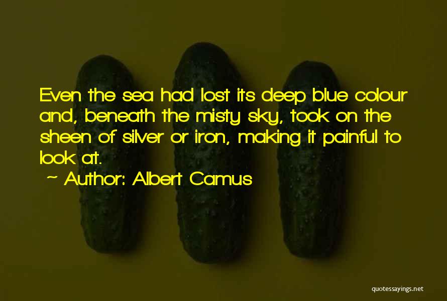 Colour Blue Quotes By Albert Camus