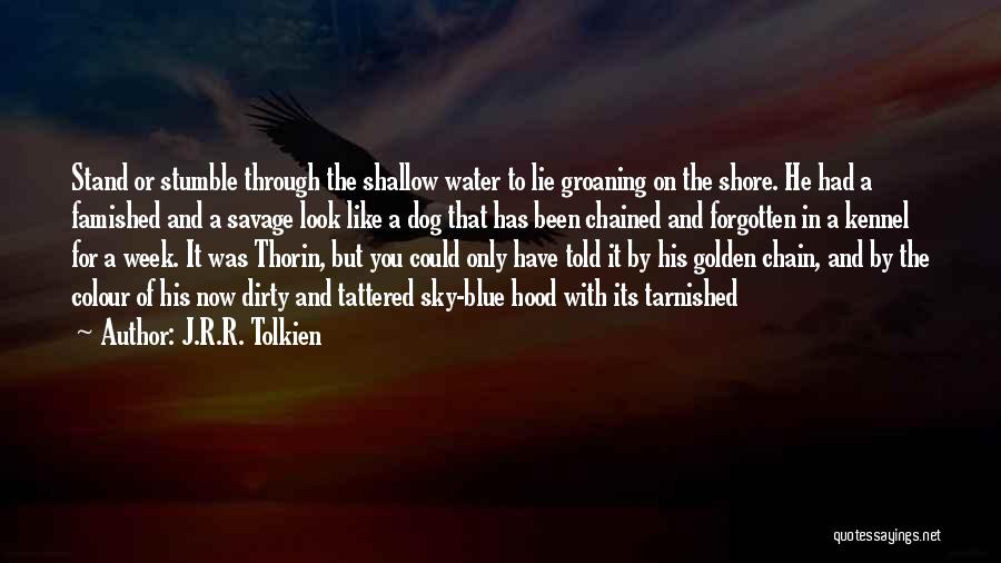 Colour Blue Quotes By J.R.R. Tolkien