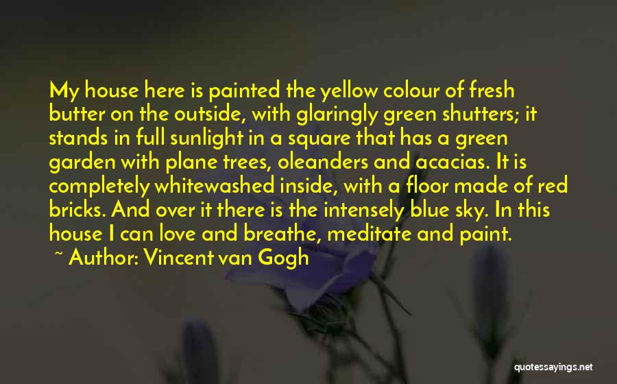 Colour Blue Quotes By Vincent Van Gogh