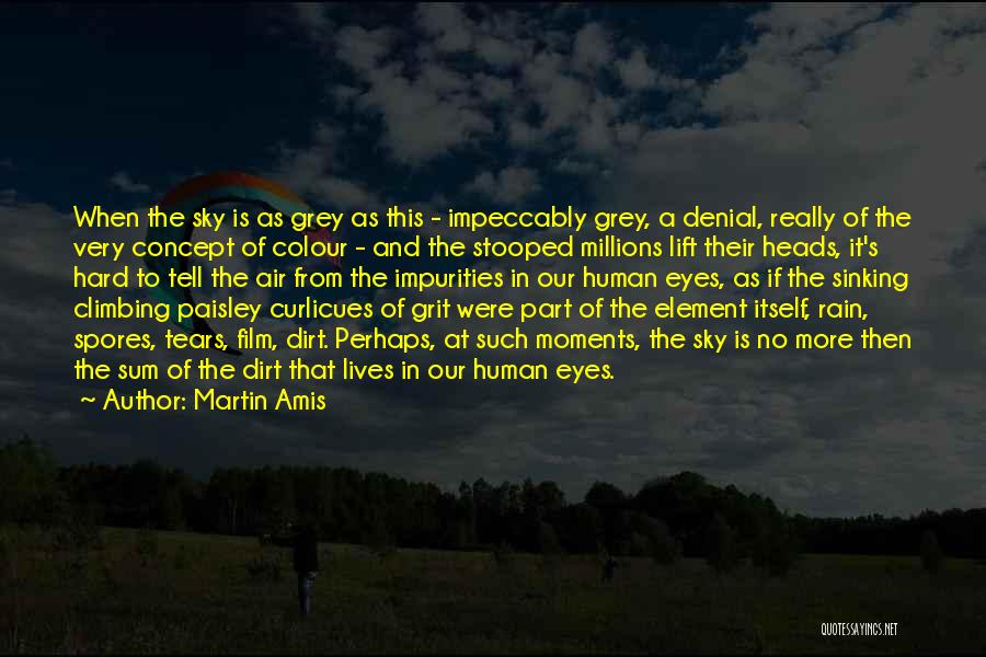 Colour Eyes Quotes By Martin Amis