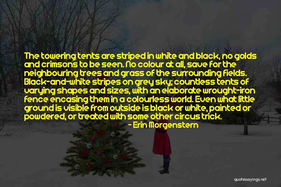 Colour Grey Quotes By Erin Morgenstern Colour Grey Quotes By Erin Morgenstern