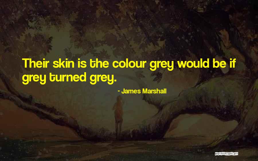 Colour Grey Quotes By James Marshall Colour Grey Quotes By James Marshall
