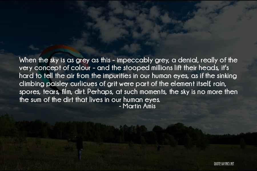 Colour Grey Quotes By Martin Amis Colour Grey Quotes By Martin Amis