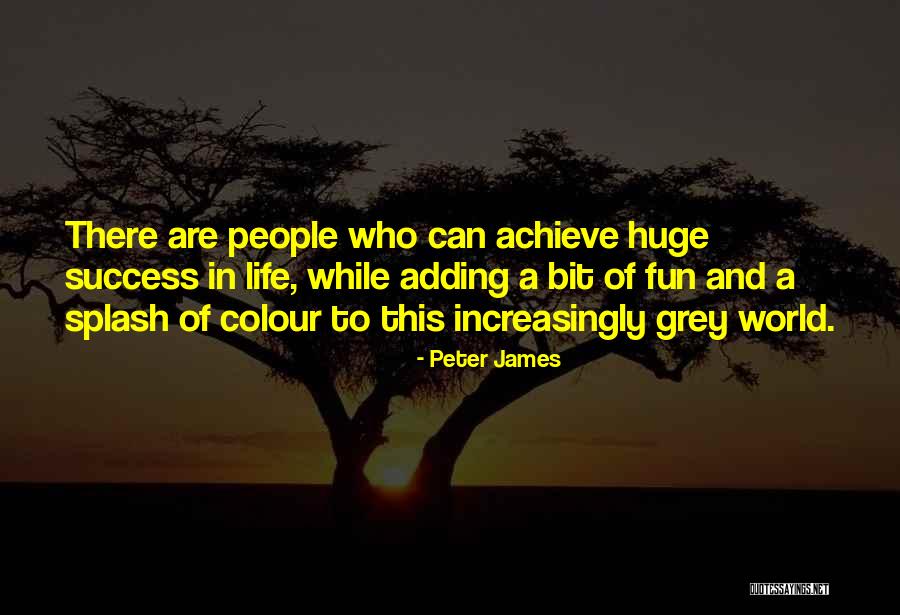 Colour Grey Quotes By Peter James Colour Grey Quotes By Peter James