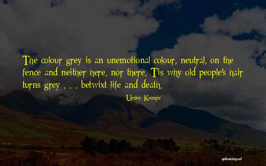 Colour Grey Quotes By Ursley Kempe Colour Grey Quotes By Ursley Kempe