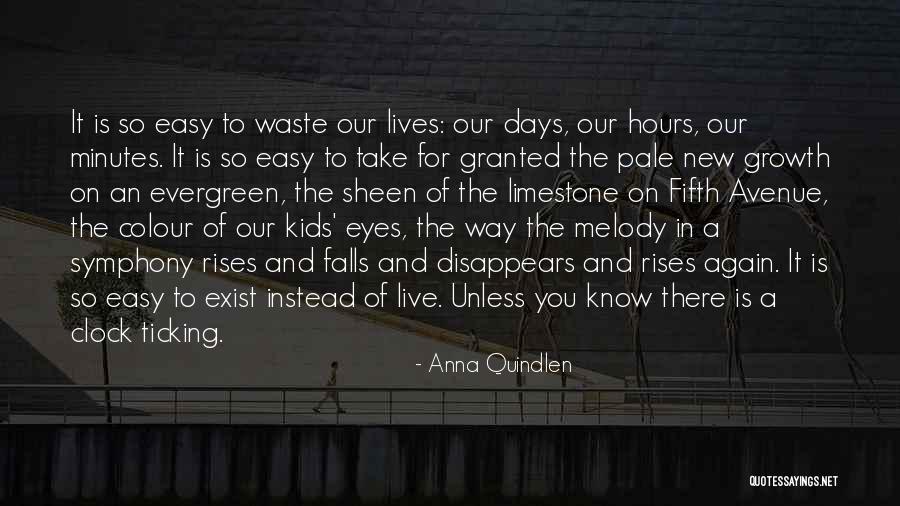 Colour Of Eyes Quotes By Anna Quindlen