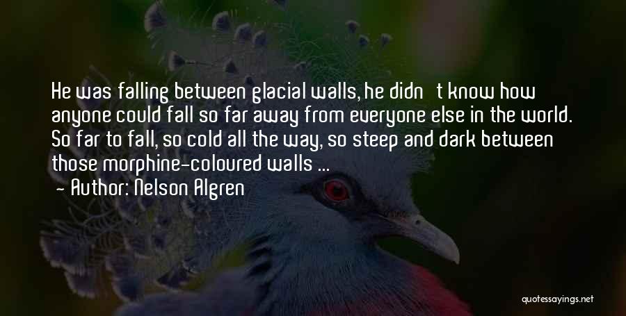 Coloured Quotes By Nelson Algren