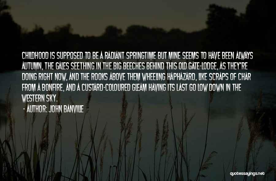 Coloured Sky Quotes By John Banville