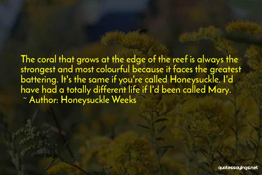 Colourful Life Quotes By Honeysuckle Weeks