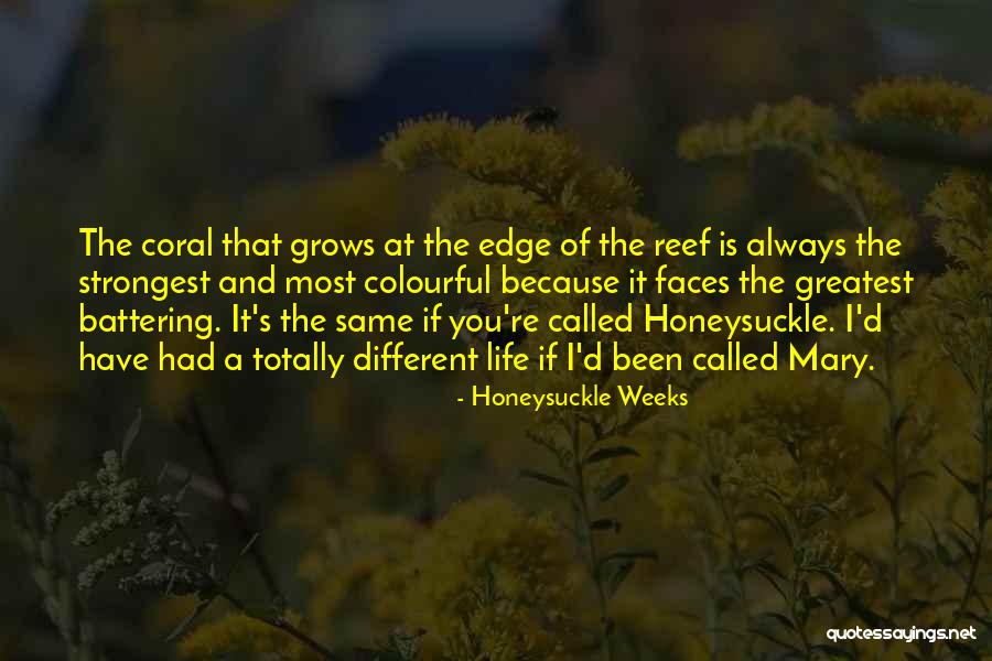 Colourful Life Quotes By Honeysuckle Weeks Colourful Life Quotes By Honeysuckle Weeks