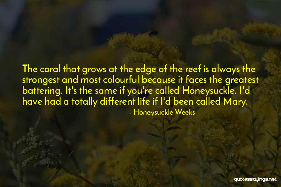 Colourful Life Quotes By Honeysuckle Weeks