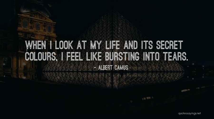 Colours And Life Quotes By Albert Camus Colours And Life Quotes By Albert Camus