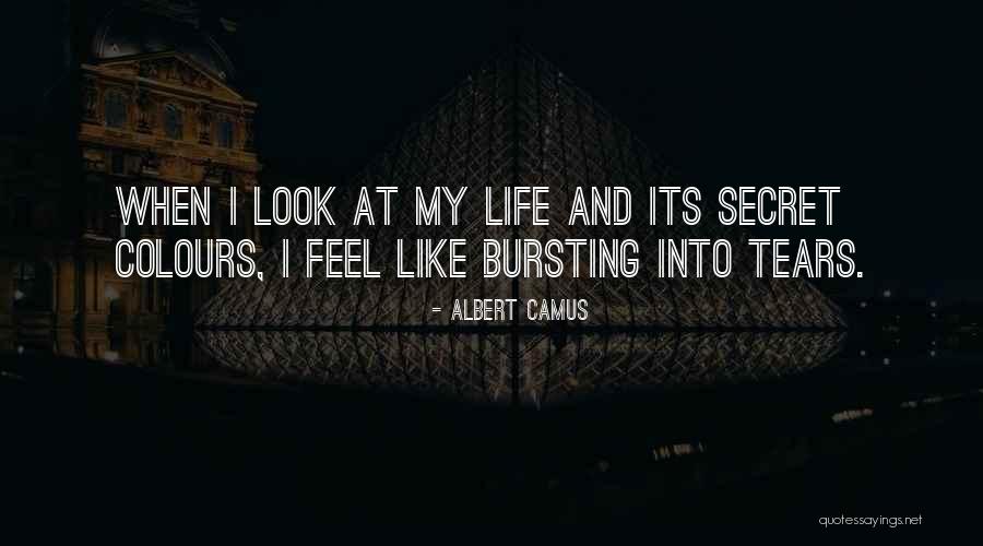 Colours And Life Quotes By Albert Camus