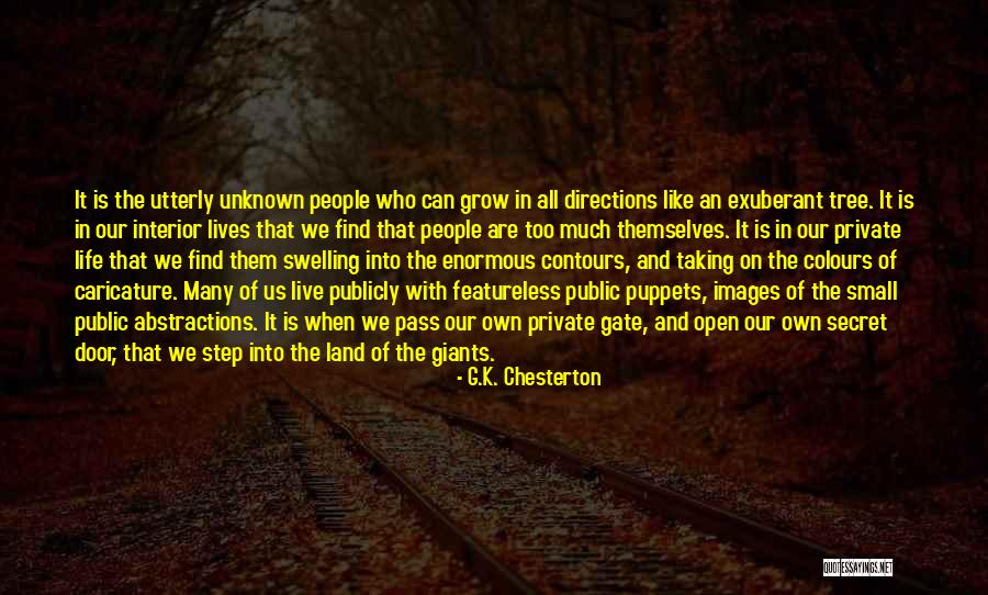 Colours And Life Quotes By G.K. Chesterton