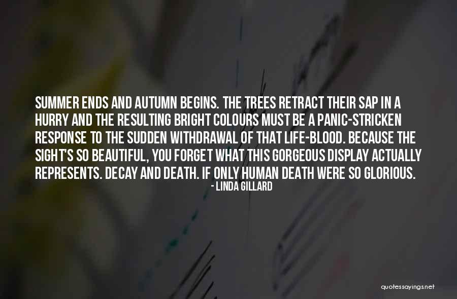 Colours And Life Quotes By Linda Gillard Colours And Life Quotes By Linda Gillard