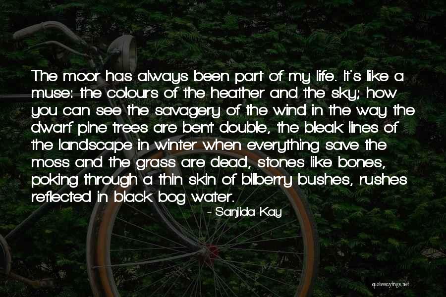 Colours And Life Quotes By Sanjida Kay