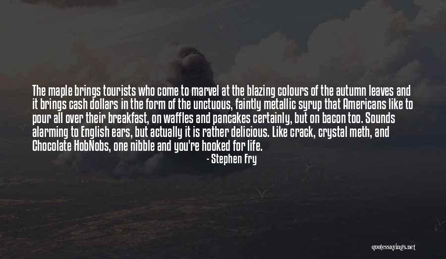 Colours And Life Quotes By Stephen Fry