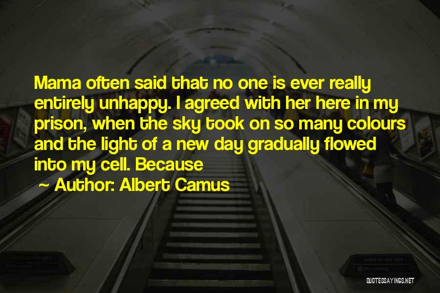 Colours And Light Quotes By Albert Camus
