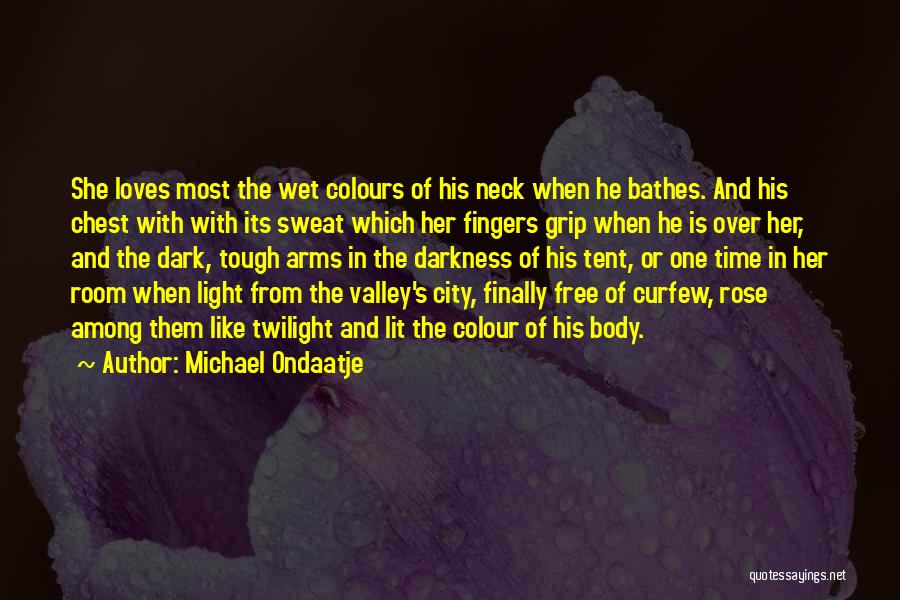 Colours And Light Quotes By Michael Ondaatje
