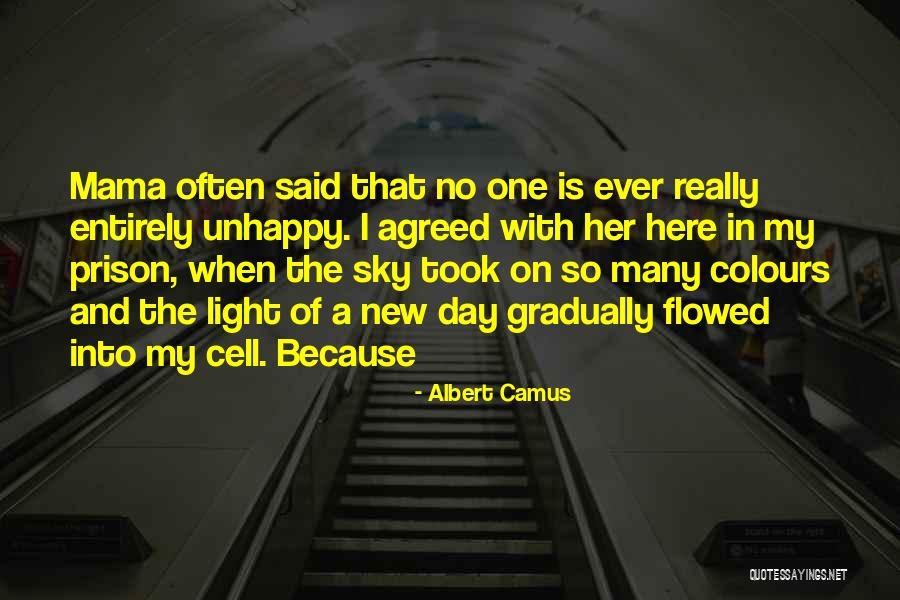 Colours Day Quotes By Albert Camus