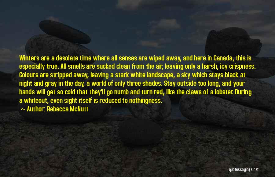 Colours Day Quotes By Rebecca McNutt