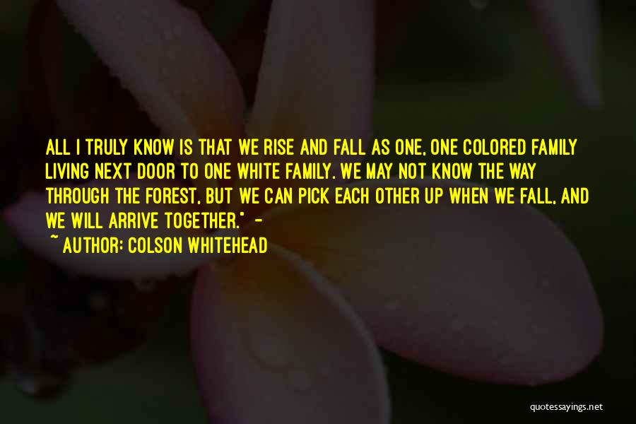 Colson Whitehead Quotes 307275