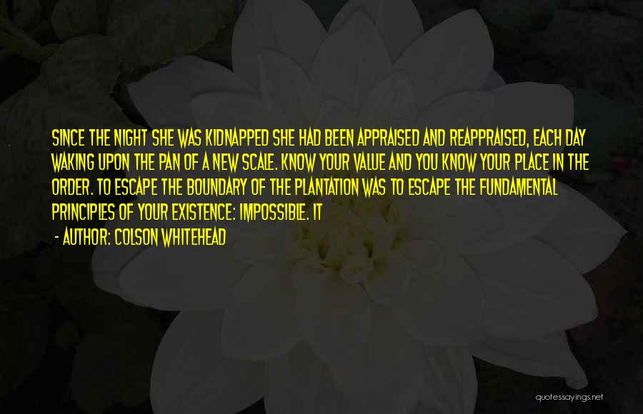 Colson Whitehead Quotes 426877