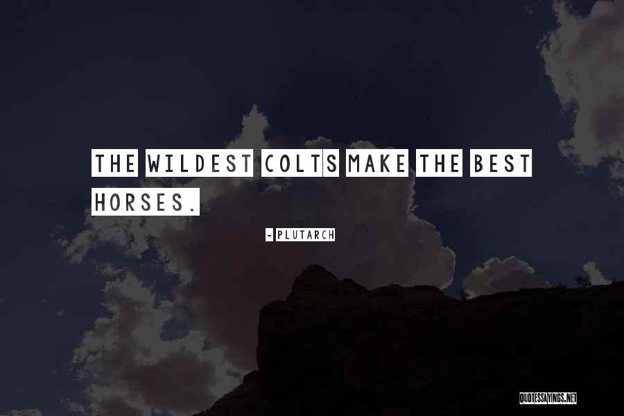Colts Horses Quotes By Plutarch Colts Horses Quotes By Plutarch