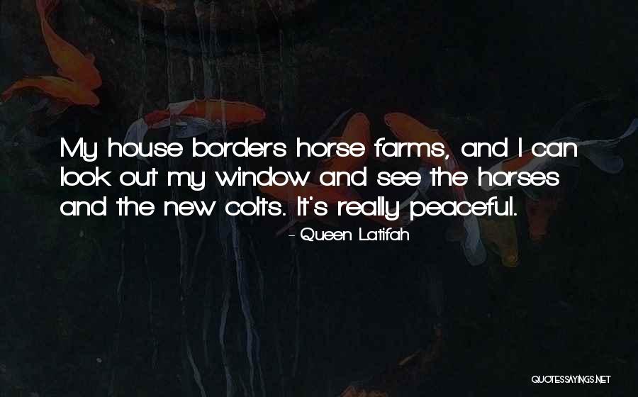 Colts Horses Quotes By Queen Latifah Colts Horses Quotes By Queen Latifah