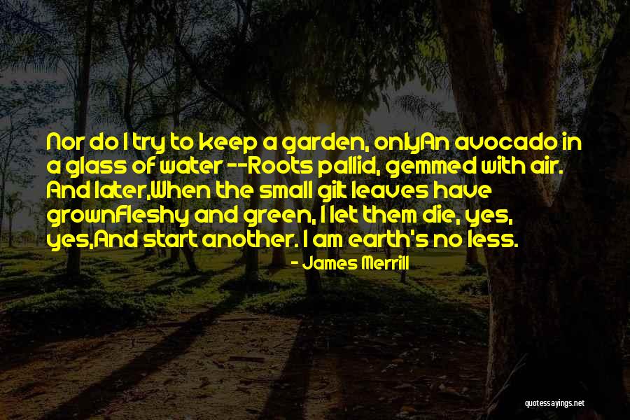 Coluccio Law Quotes By James Merrill Coluccio Law Quotes By James Merrill