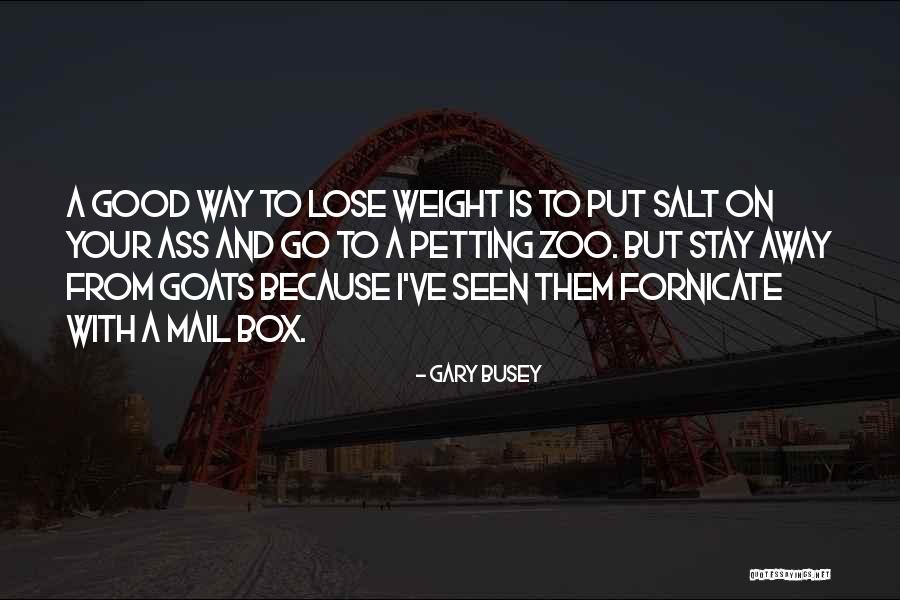 Columbro Cantate Quotes By Gary Busey Columbro Cantate Quotes By Gary Busey
