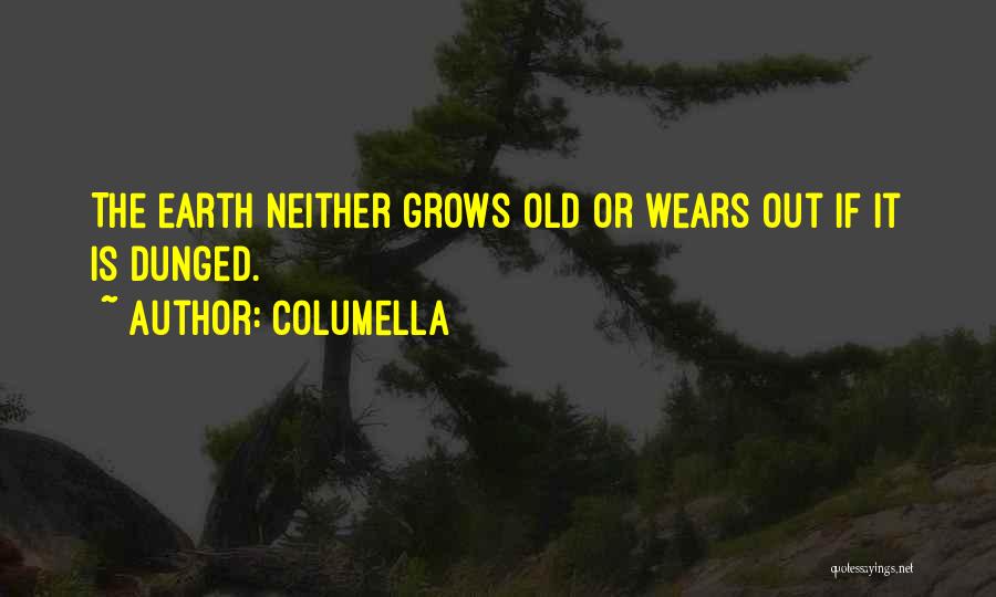 Columella Quotes 1373992