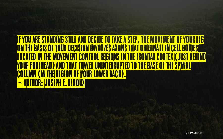 Column Quotes By Joseph E. Ledoux