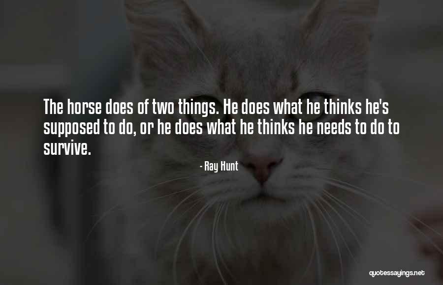 Columpios Infantiles Quotes By Ray Hunt Columpios Infantiles Quotes By Ray Hunt