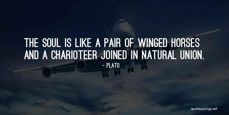 Comadre In English Quotes By Plato Comadre In English Quotes By Plato