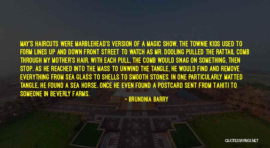 Comb Quotes By Brunonia Barry Comb Quotes By Brunonia Barry