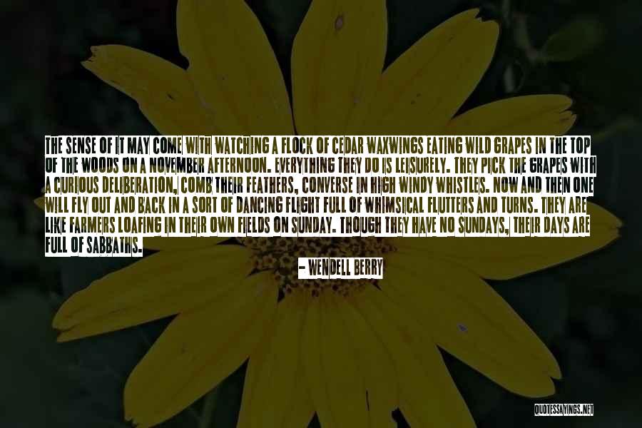 Comb Quotes By Wendell Berry Comb Quotes By Wendell Berry