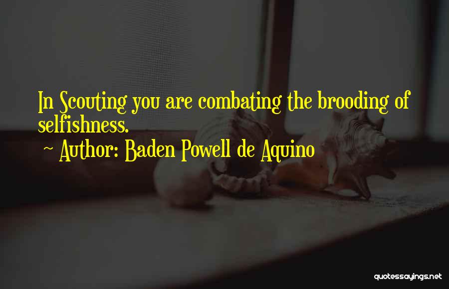 Combating Quotes By Baden Powell De Aquino