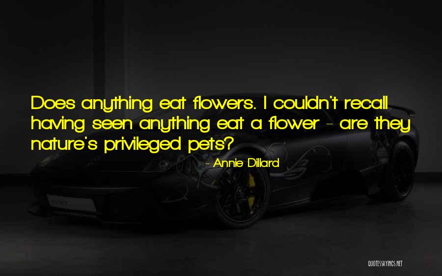 Combinative Motifs Quotes By Annie Dillard Combinative Motifs Quotes By Annie Dillard